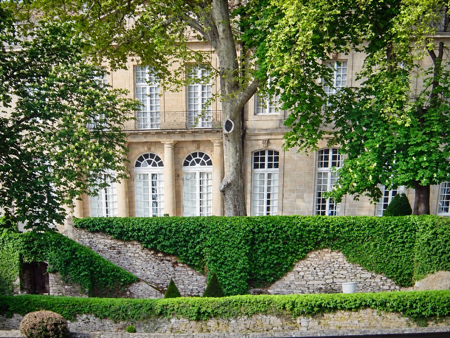 Autre vue de la façade en pierre claire du château de Sauvan, entre les arbres et le mur couvert de lierre.