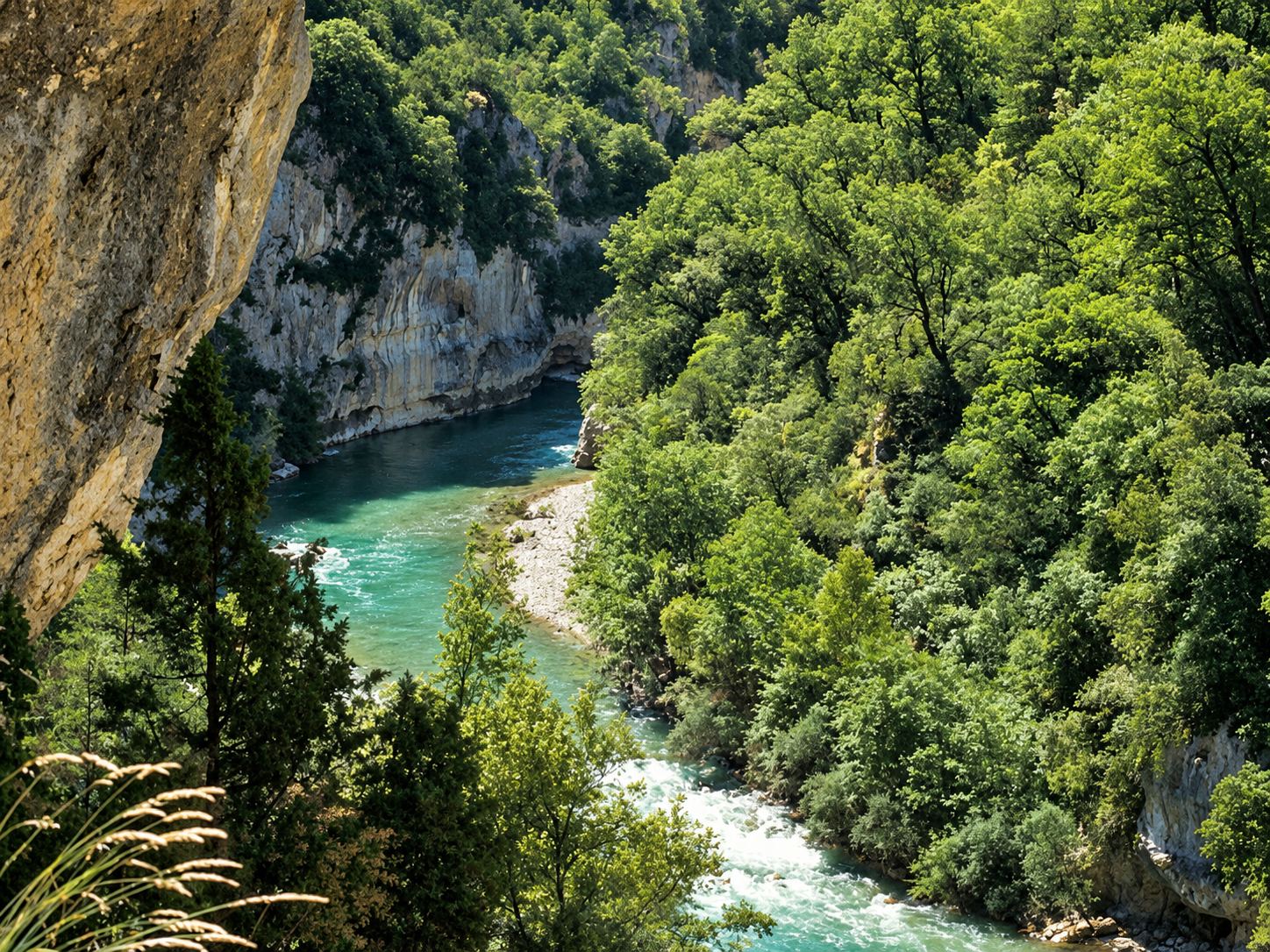 Rivière turquoise dans les gorges du Verdon, entre falaises et forêt.